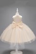 Champagne Princess Butterfly Tulle Girls  Dress With Bow For Cheap