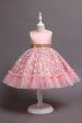 A Line Jewel Neck Pink Girl Party Dress with Appliques Online Sale