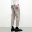 The Danver Pant, Pebble | Twill Online now