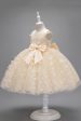 Champagne Princess Butterfly Tulle Girls  Dress With Bow For Cheap