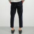 The Danver Pant, Sodalite | Velvet Supply