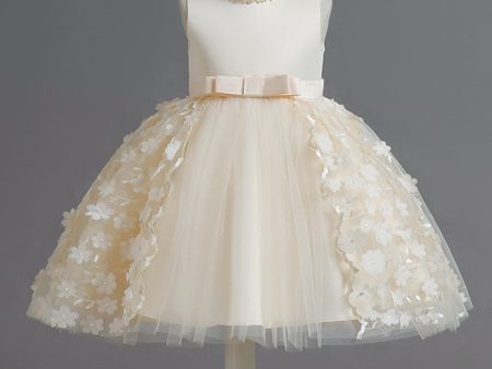 Champagne A Line Tulle Sleeveless Flower Girls  Party Dress With Bow Online Hot Sale