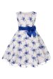 Blue Embroidery Lace Girls  Dress with Bowknot Hot on Sale