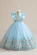 Blue A Line Tulle Girl Dress with Embroidery Supply