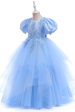 Tulle Puff Sleeves Light Blue Flower Girl Dress with Appliques Cheap