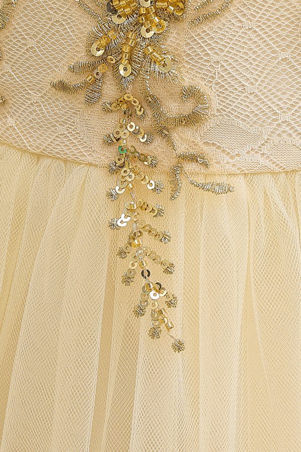 Champagne Tulle A Line Girl Dress with Embroidery Online now