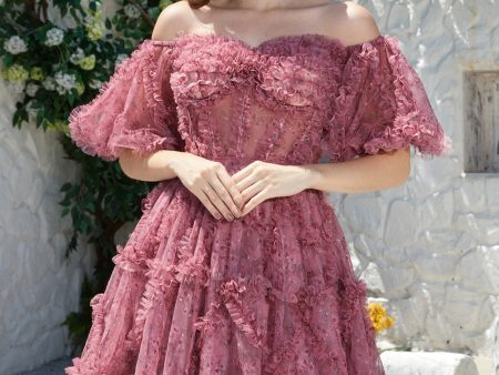 Beautiful A Line Off the Shoulder Dusty Rose Tulle Short Homecoming Dress with Short Sleeves Fashion